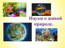 Презентация по биологии Науки о живой природе