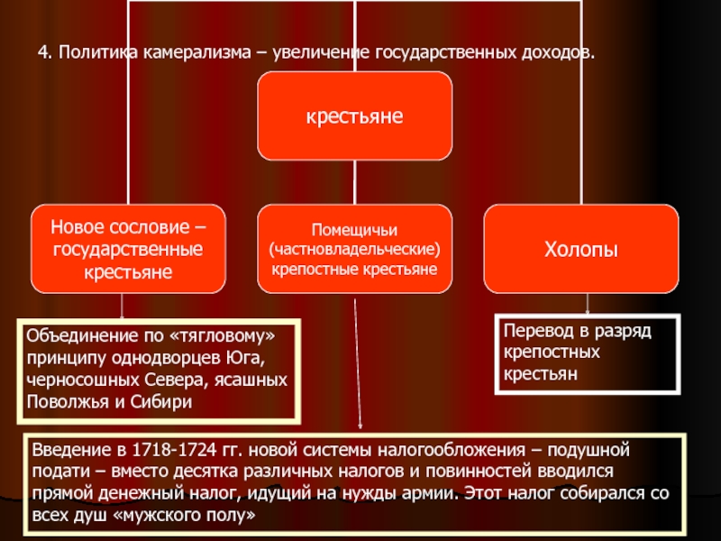 Политика 4. Теория камерализма. Научные школы камерализма. Камерализм реформы Петр 1. Экономическая политика Петра 1 камерализм.