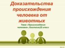 Презентация по биологии Доказательства происхождения человека от животных, 11 класс