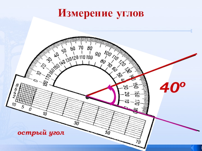 Тема измерение углов 5 класс