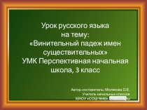 Презентация к уроку русского языка на тему:Винительный падеж имен существительных ПНШ 3 класс