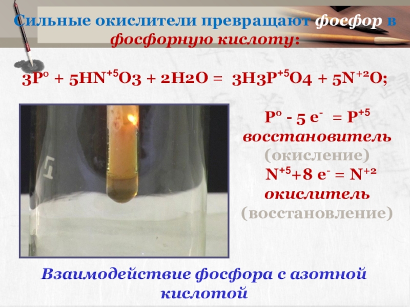 Реакция концентрированной азотной кислоты с серой. Фосфор плюс разбавленная азотная кислота. Взаимодействие фосфора с азотной кислотой. Взаимодействие фосфора с концентрированной азотной кислотой. Взаимодействие фосфора с азотом.