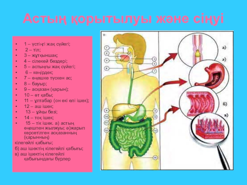 Ас қорыту жүйесіне әсер ететін дәрілер презентация