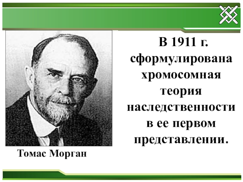 Хромосомная теория томаса. Хромосомная теория Томаса Моргана. Хромосомная теория наследственности т Моргана.