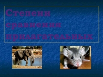 Презентация по английский языку на тему Степень сравнения прилагательных  (4 класс)