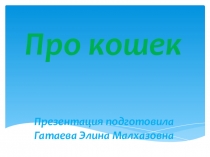Проектная работа Моё любимое животное. Кошки.