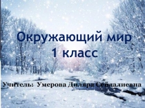 Презентация по окружающему миру на тему: Как зимой помочь птицам? ( 1 класс)