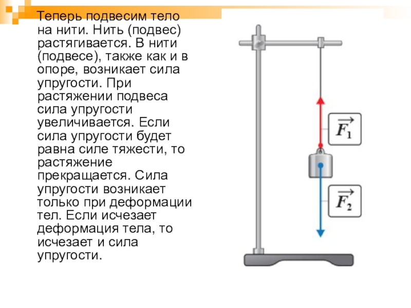 Физика нити. Силы действующие на подвешенное тело. Тело подвешенное на нити. Вес тела подвешенного на нити. Силы действующие на нить.