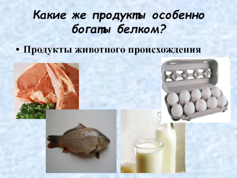 Белки химия презентация