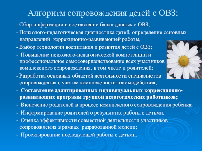 План мероприятий по сопровождению ребенка с овз в школе