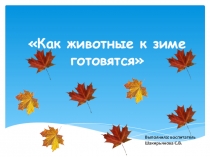 Как животные к зиме готовятся