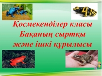 Қосмекенділер класы Бақаның сыртқы және ішкі құрылысы(ашық сабақ) 7 сынып