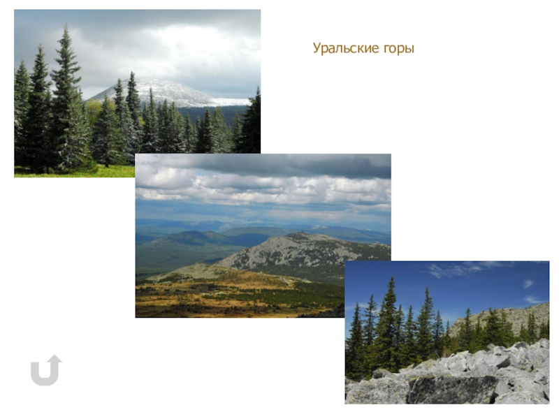 Называя уральские горы уникальными впр. Уральские горы фото. My shared Уральские горы. Прямые углы уральских гор.