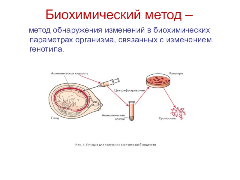 Биохимический метод исследования