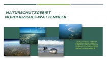 Презентация Das Nordfriesische Wattenmeer