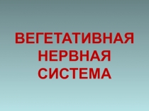 Вегетативная нервная система