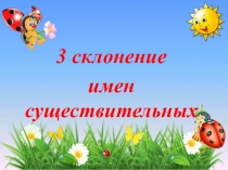 Презентация по русскому языку  3 склонение имен существительных