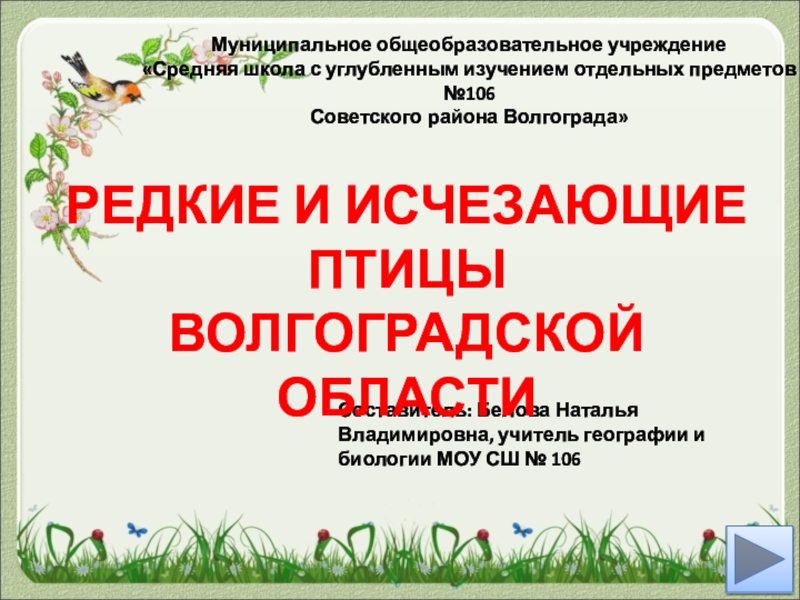 Презентация Презентация по биологии на тему Редкие и исчезающие птицы Волгоградской области