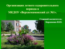 Презентация Организация летнего оздоровительного периода