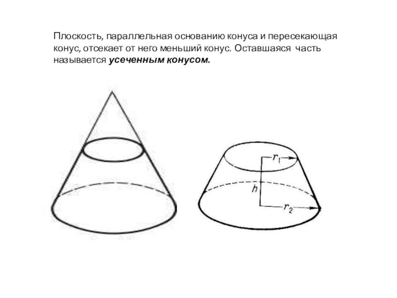 Плоскость параллельная основанию конуса