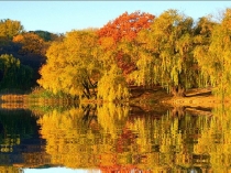 М. Пришвин Осеннее утро