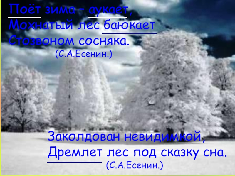 Кто написал заколдован. Поет зима, аукает. Поёт зима аукает Есенин. Заколдован НЕВИДИМКОЙ дремлет лес под сказку сна. Поёт зима аукает мохнатый лес баюкает Стозвоном сосняка.