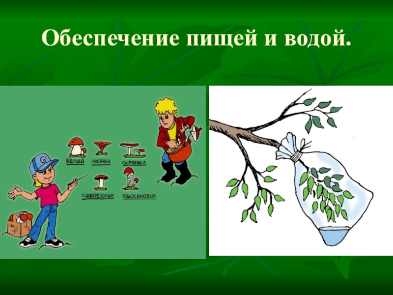 Добывание пищи. Обеспечение пищей и водой. Обеспечение водой в природных условиях. Обеспечение питанием и водой ОБЖ. Обеспечение водой и пищей в природных условиях.