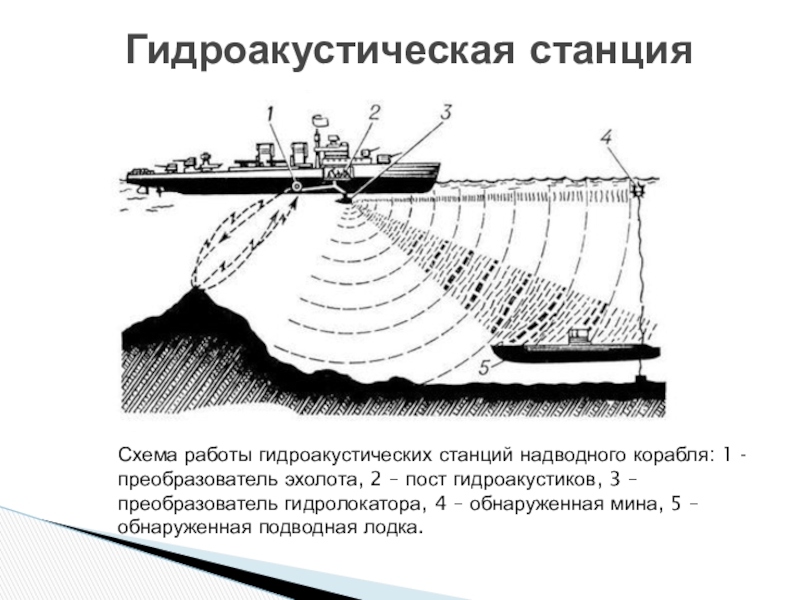 Структурная схема гидролокатора