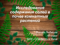 Исследование содержания солей в почве комнатных растений