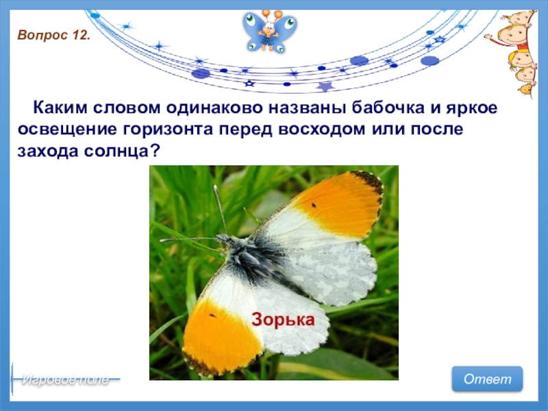 Почему бабочки такие разные и красивые. Интерактивная игра бабочки. Вопросы про бабочек для детей. Почему стратегия называется бабочка. Наука о бабочках называется.