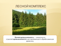 Презентация по географии 9 класс на тему Лесной комплекс России