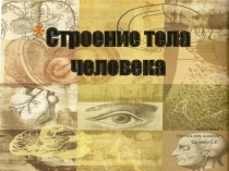 Презентация по окружающему миру Строение тела человека 2 класса