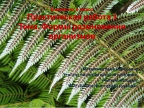 Презентация Практическая работа № 3 Формы размножения организмов. Биология, 9 класс