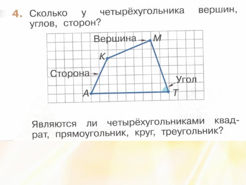 Сколько клеток составляет площадь четырехугольной звезды на рисунке