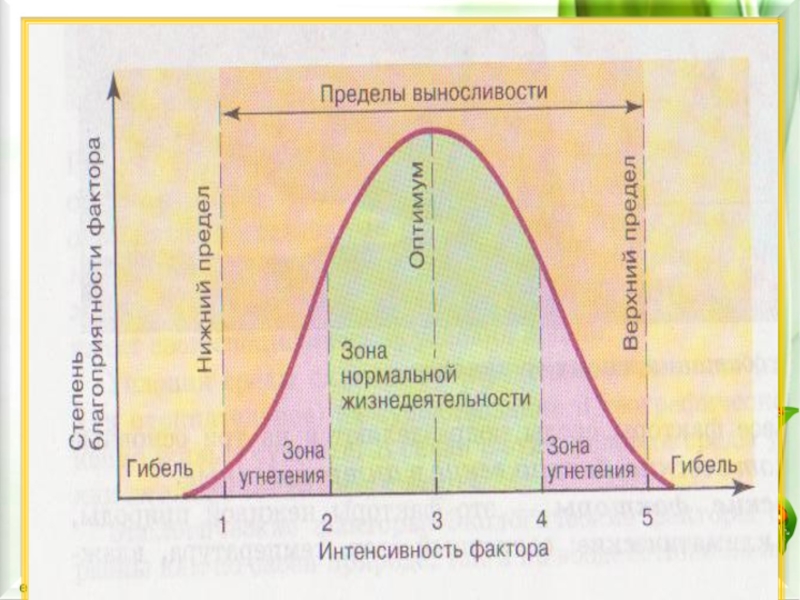 Оптимальный фактор среды