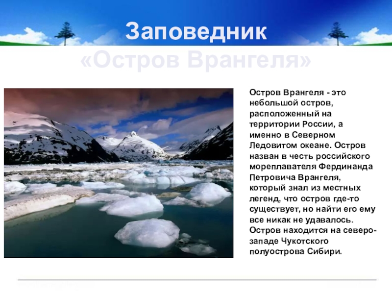 В какой природной зоне заповедник остров врангеля