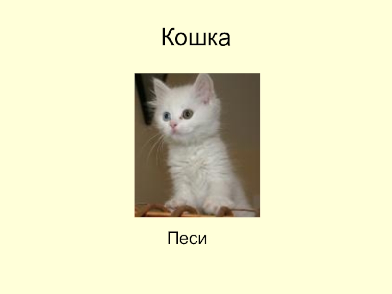 Песе. Карак песи рисунок. По татарски слово кошка. Песи баласы обыкновенный. Придумай игры к слову кошка.