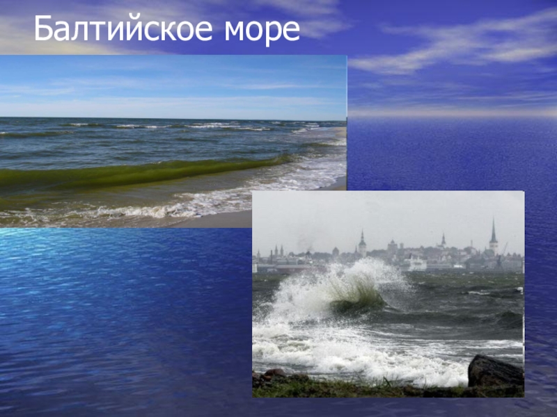 Моря россии проект