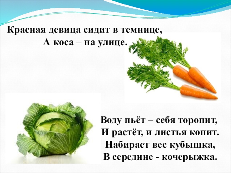 Сидит сидит коса. Красная девица сидит в темнице а коса на улице. Загадка красная девица сидит в темнице а коса на улице. Загадка про морковь для детей. Красная девица сидит в темнице.