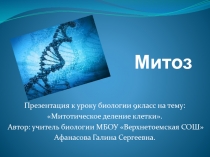 Презентация по общей биологии на тему Митоз для 9 класса