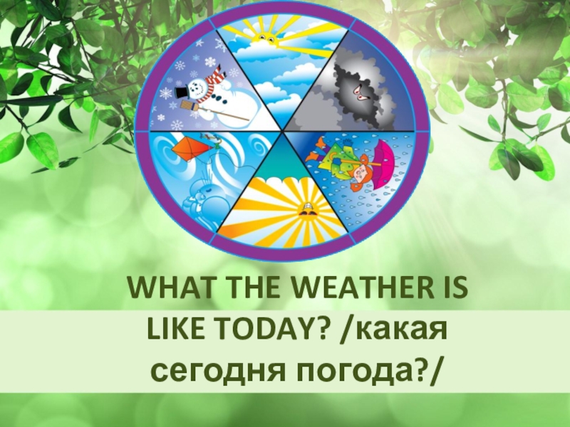 Презентация Презентация к уроку в 6 классе на тему What the weather...?