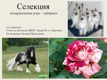 Интерактивная игра-лабиринт на тему Селекция (9 класс)