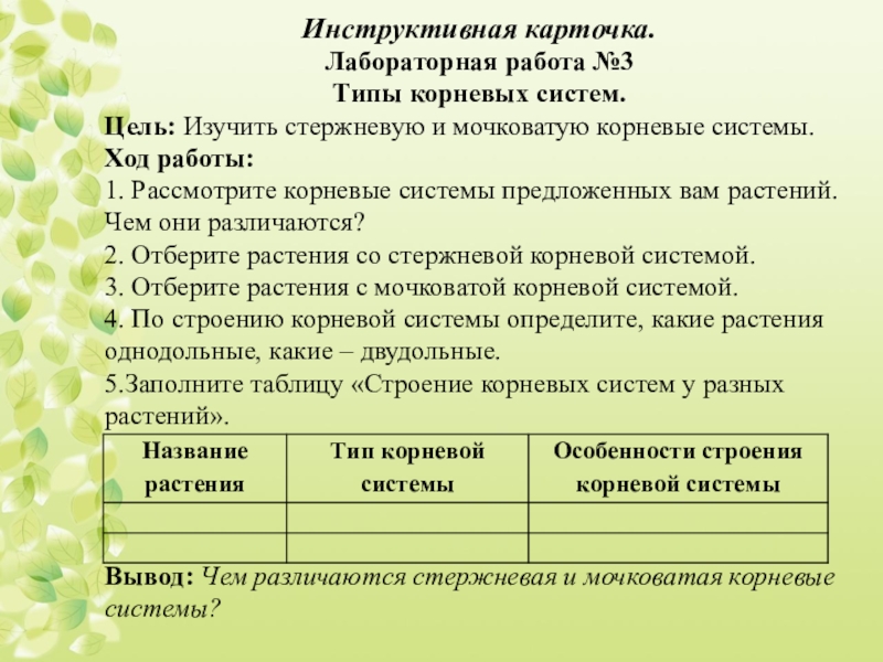 7 вид 6 класс. Лабораторная работа 3 по биологии 6 класс типы корневых систем. Лабораторная работа корневые системы. Лабораторная работа типы корневых систем 6. Лабораторная работа типы корневых систем презентация.