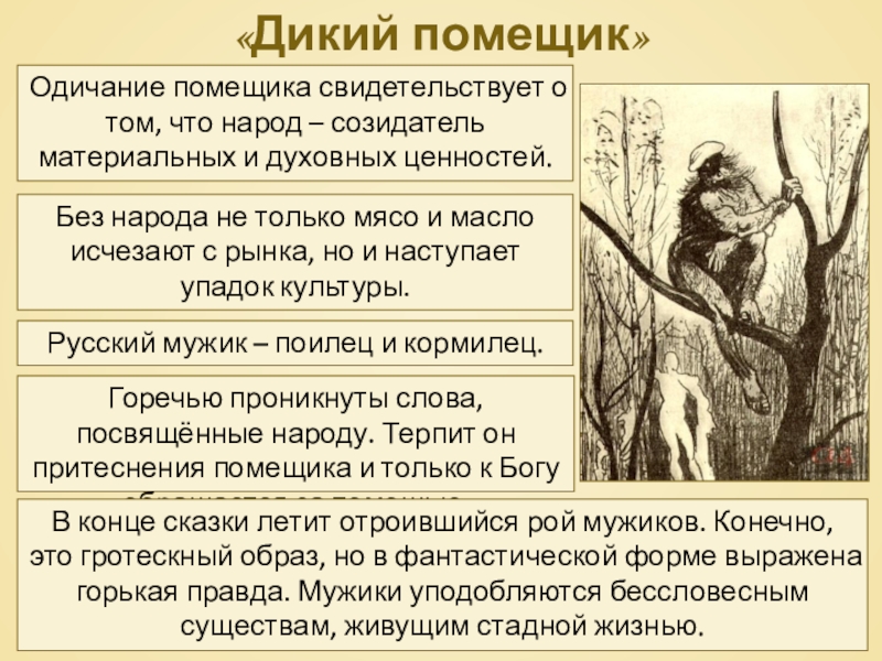 «Дикий помещик»Одичание помещика свидетельствует о том, что народ – созидатель материальных и духовных ценностей.Без народа не только