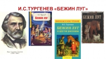 Презентация по литературе на тему: Портреты мальчиков в рассказе И.С. Тургенева Бежин луг.