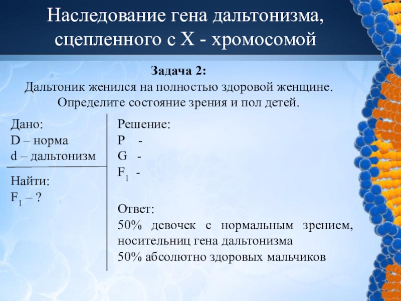 Презентация по биологии на тему дальтонизм