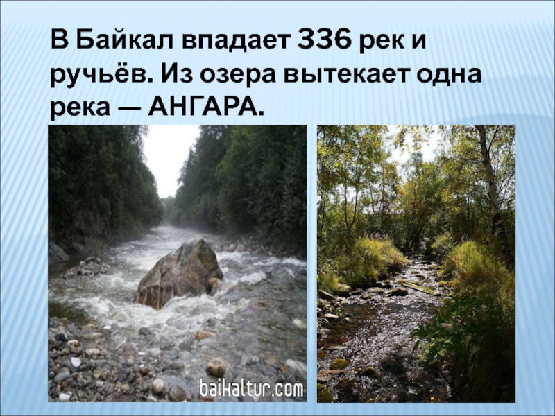 Байкал реки впадают