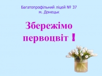 Презентация  Збережімо первоцвіт