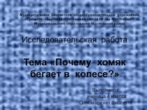 Презентация исследовательского проекта Почему хомяк бегает в колесе (4 класс)