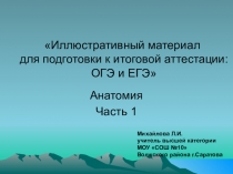 Презентация по биологии Иллюстративный материал